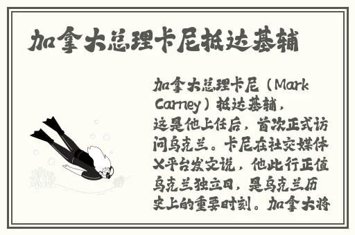 混乱家庭派对